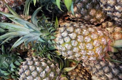 beneficios-do-abacaxi