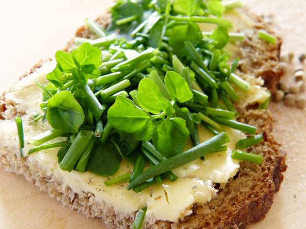 agriao-salada